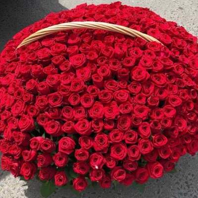 501 роза в корзине