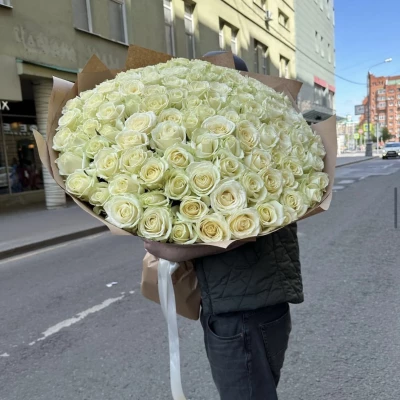 101 белая роза