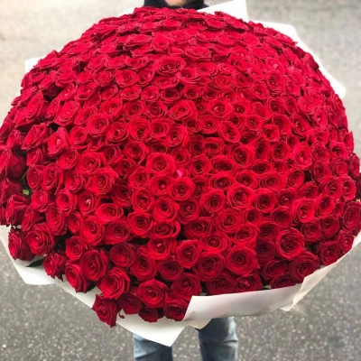 301 красная роза