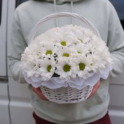 Хризантема в корзине